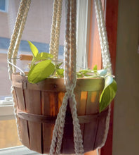 Knotty menno plant hangers