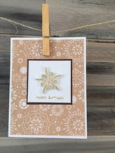 Twirling Daisies Cards